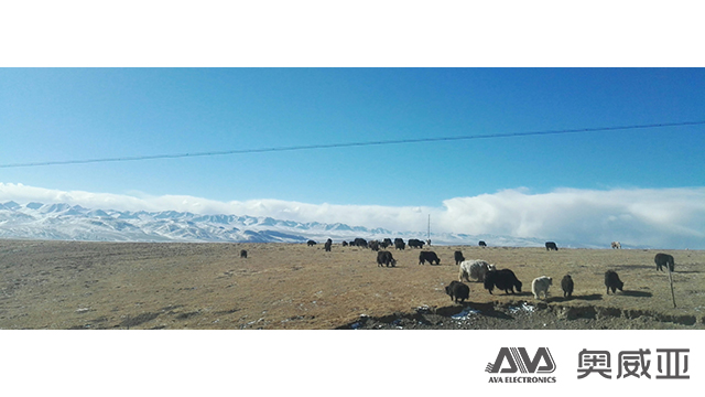 IMG_20161228_132432.jpg IMG_20161228_132432.jpg